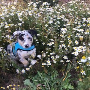 Meet your Posher, Cassandra